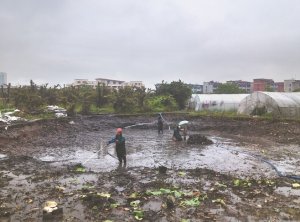 兰溪河道鱼塘清淤